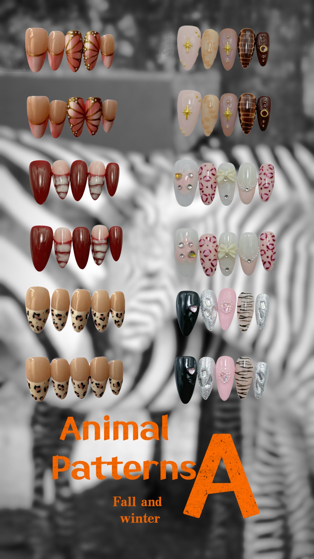 Animal Patterns